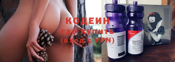 шишки Болотное