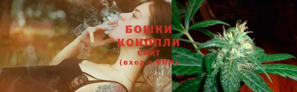 mix Няндома