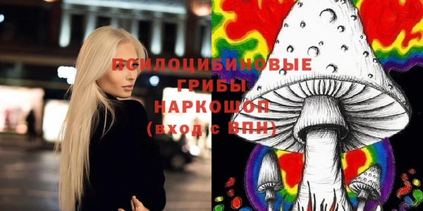 mix Няндома