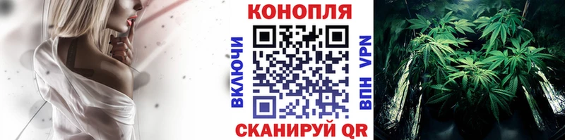 МАРИХУАНА план Цимлянск